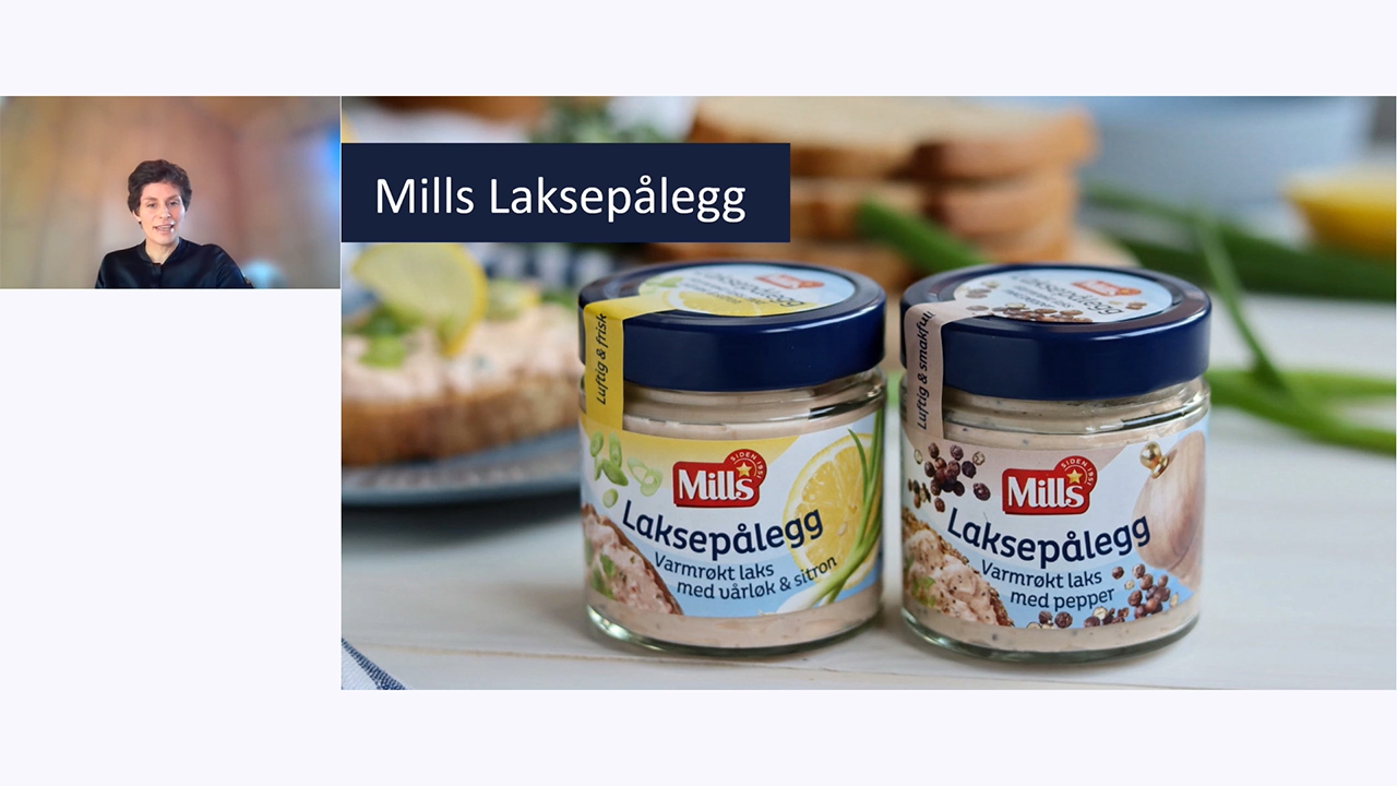 Screenshot fra Webinar