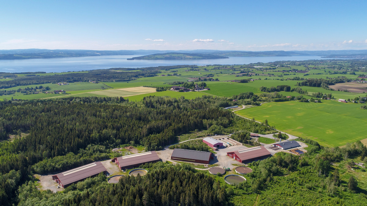 Flyfoto av avlsstasjonen