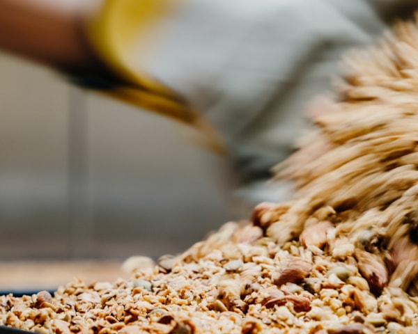 Nærbilde av müsli som blandes
