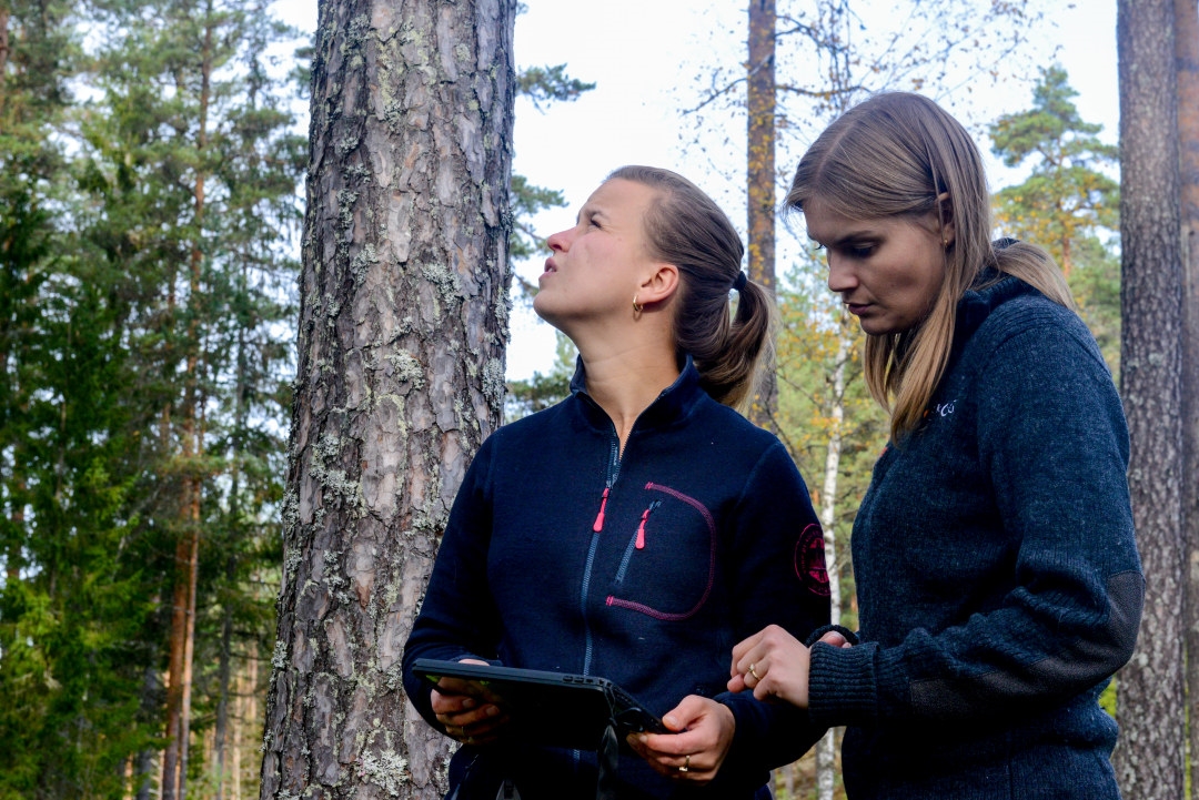 To jenter som er på jobb i skogen.